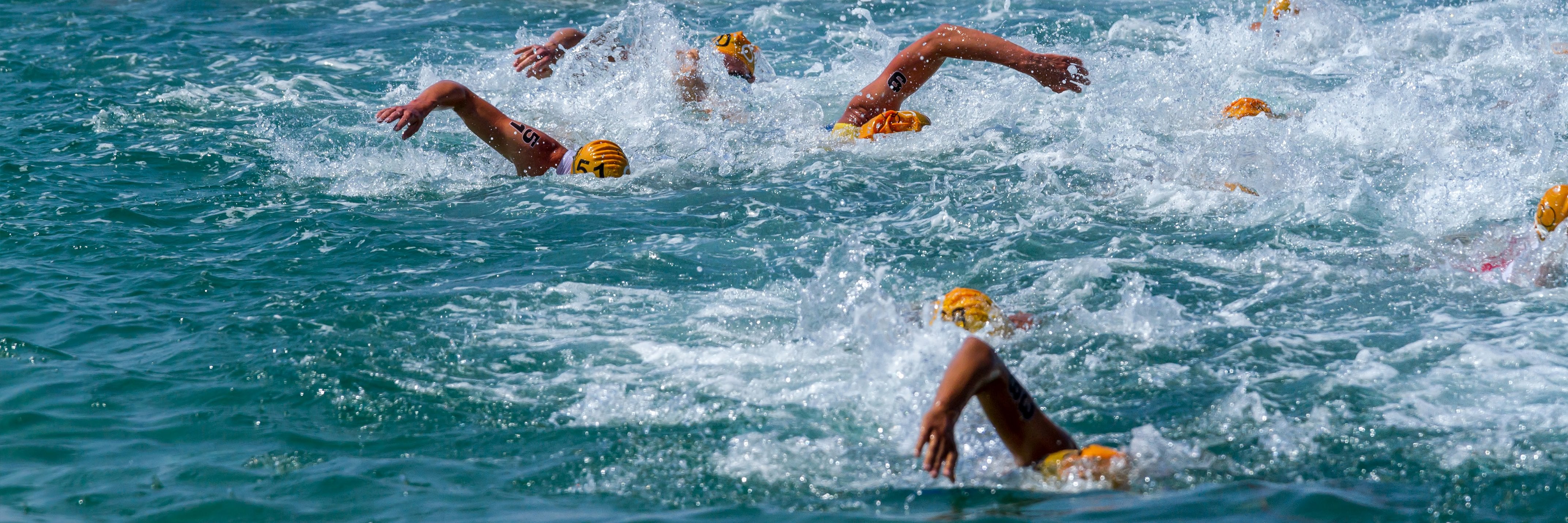 triathlon - Sort Order Template