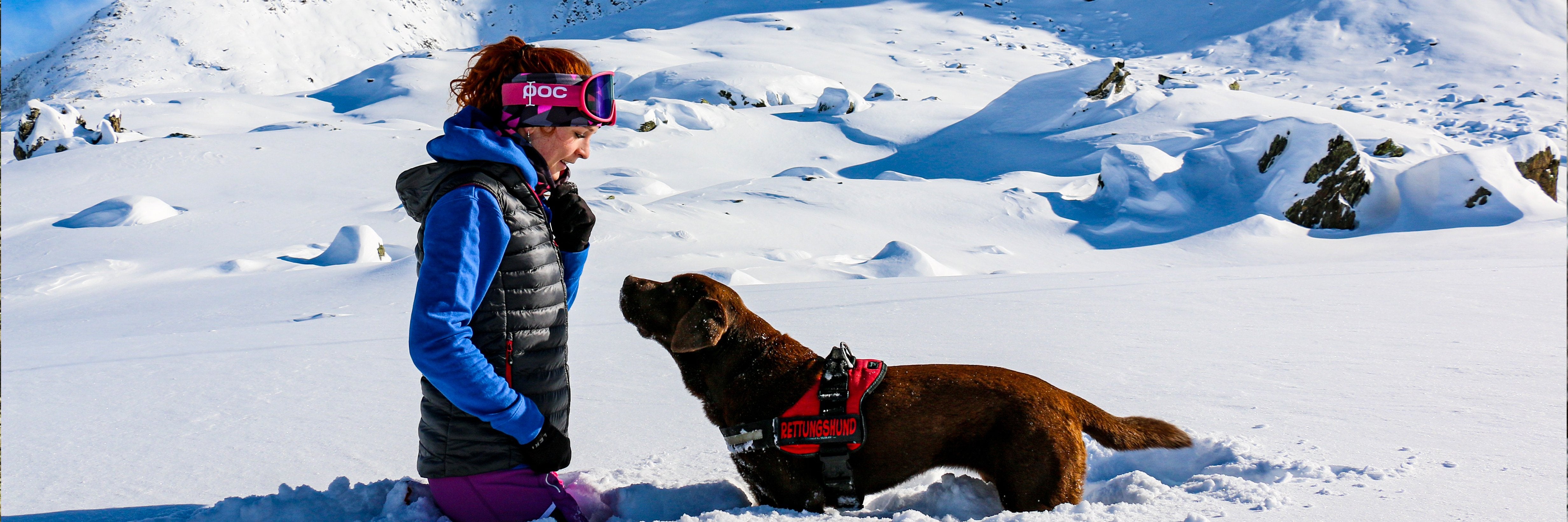 Outdoor - Hunde - Sort Order Template
