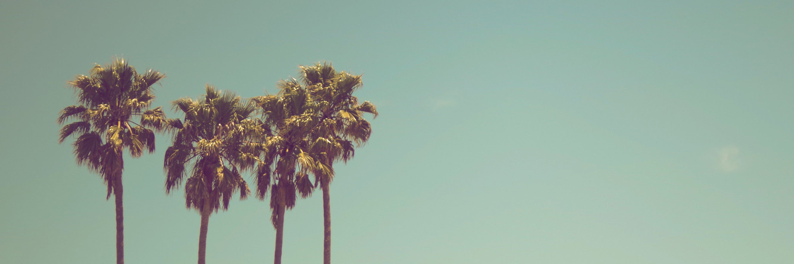 Sommer